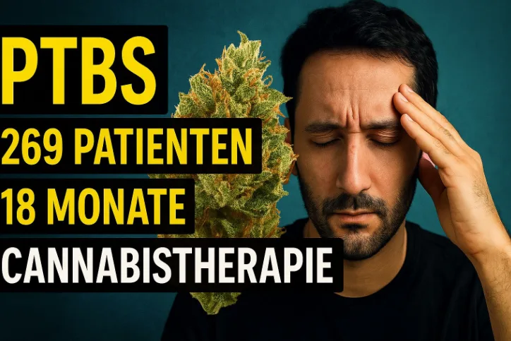 LinkedIn-Beitrag: PTBS, 269 Patienten über 18 Monate Cannabistherapie