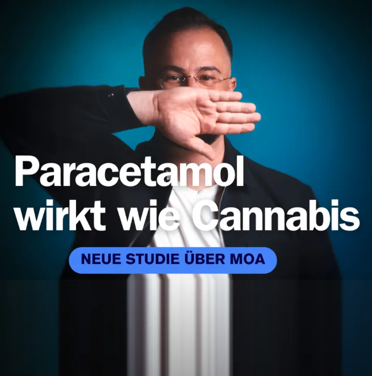 LinkedIn-Beitrag: Paracetamol wirkt wie Cannabis, neue Studie über den Wirkmechanismus