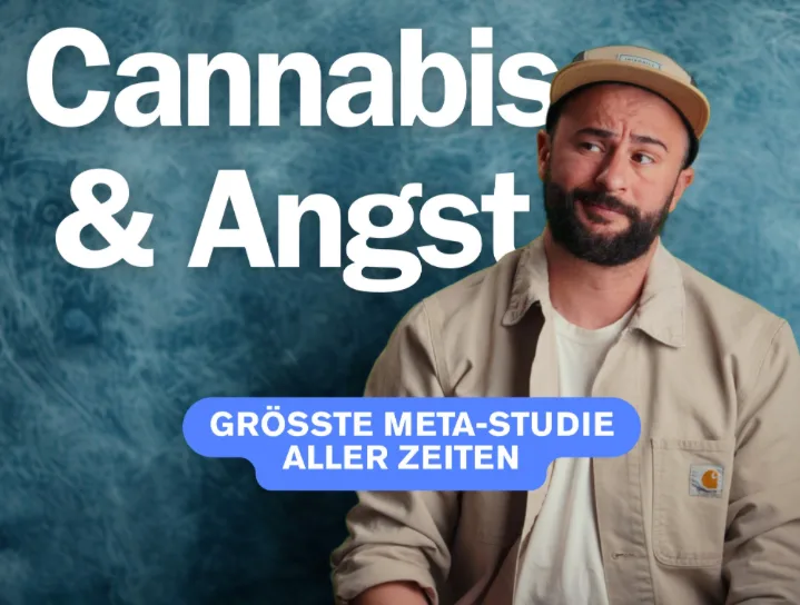 LinkedIn-Beitrag: Cannabis und Angst, größte Meta-Studie bisher