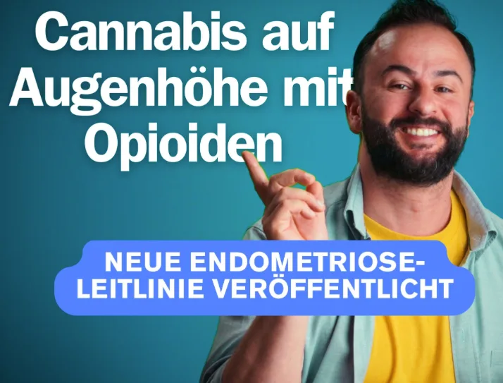LinkedIn-Beitrag: Cannabis auf Augenhöhe mit Opioiden, neue Endometriose-Leitlinie veröffentlicht